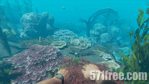 Epic12月29日免费游戏：《深海搁浅Stranded Deep》