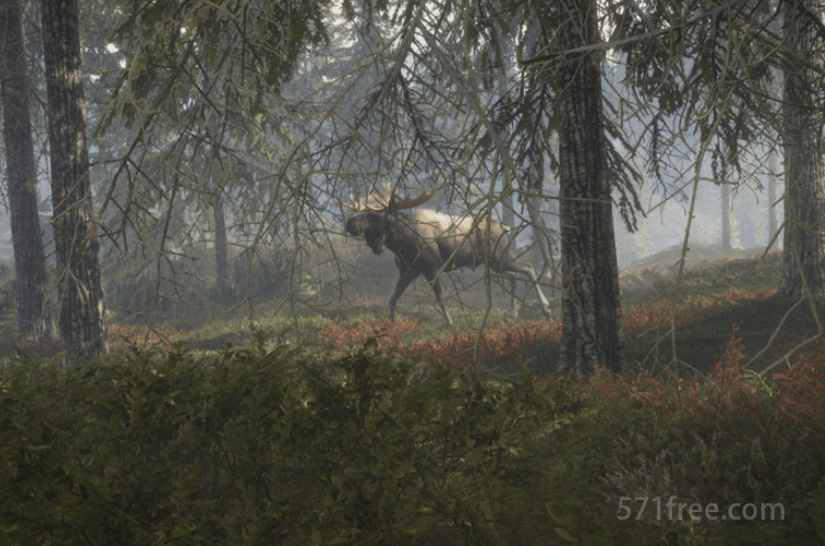 Epic本周免游戏《猎人：野性的呼唤》限时免费领取